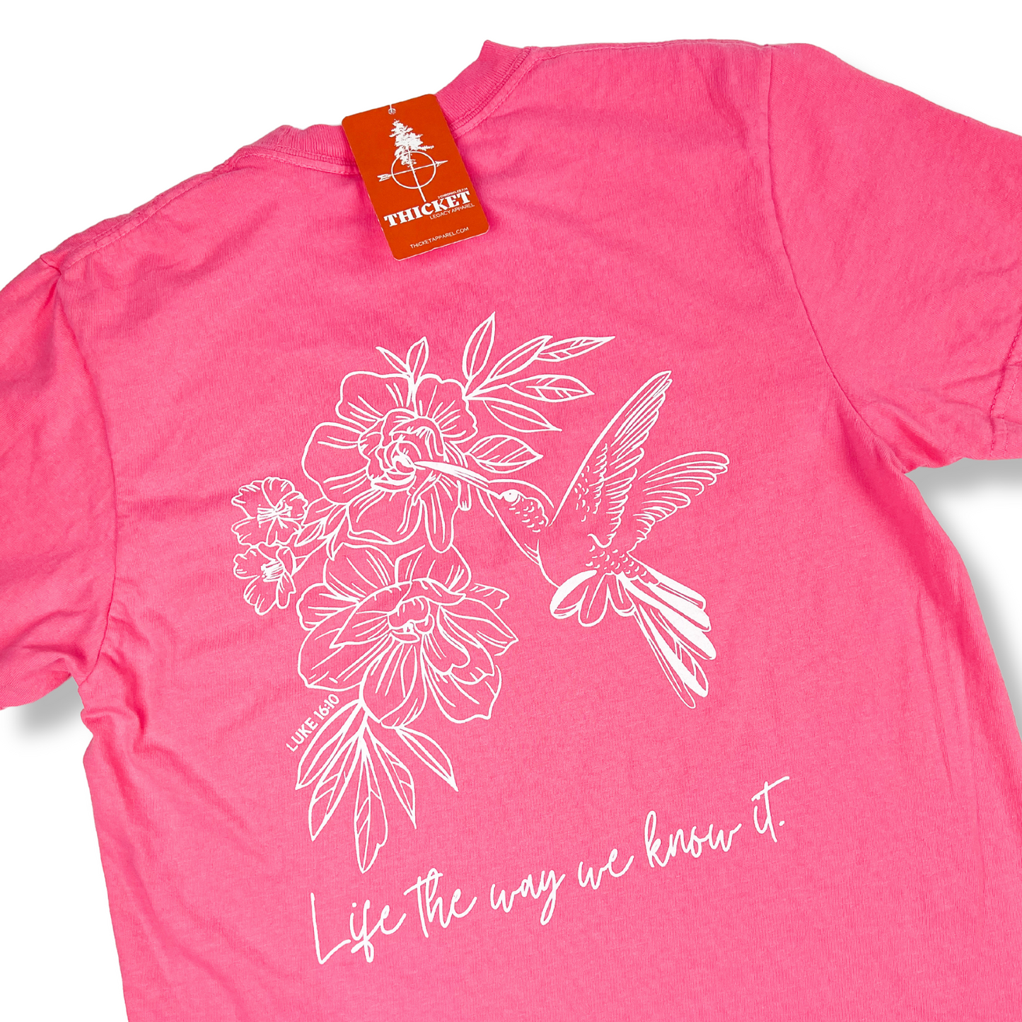 Hummingbird | Crunchberry